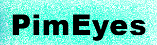 PimEyes