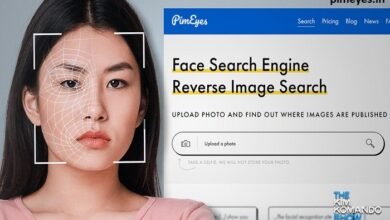 pimeyes face search