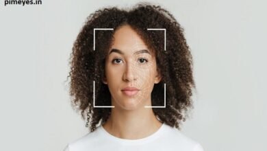 Face Search Free